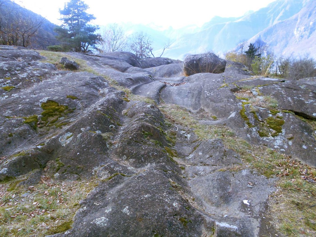 marmitte